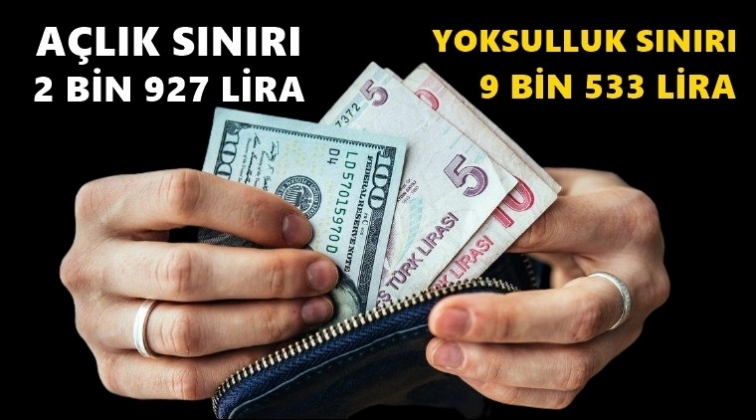 A&ccedil;lık sınırı 2 bin 927, yoksulluk sınırı 9 bin 533 lira