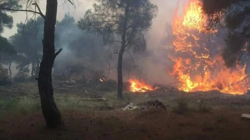 AFAD: Orman yangınlarında 50 binden fazla kişi tahliye edildi, 60 milyon TL acil yardım gönderildi