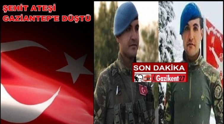 Afrin'deki Şehit ateşi Gaziantep'e düştü