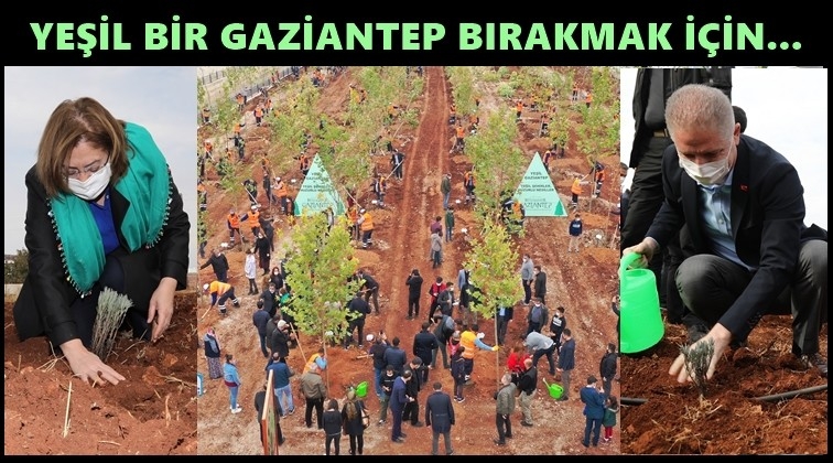 Ağa&ccedil;landırma seferberliği s&uuml;r&uuml;yor...