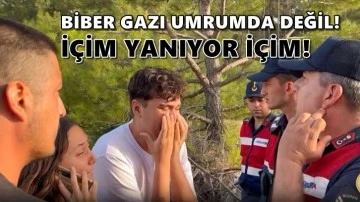 Ağaçlar için direnen gençler böyle isyan etti...