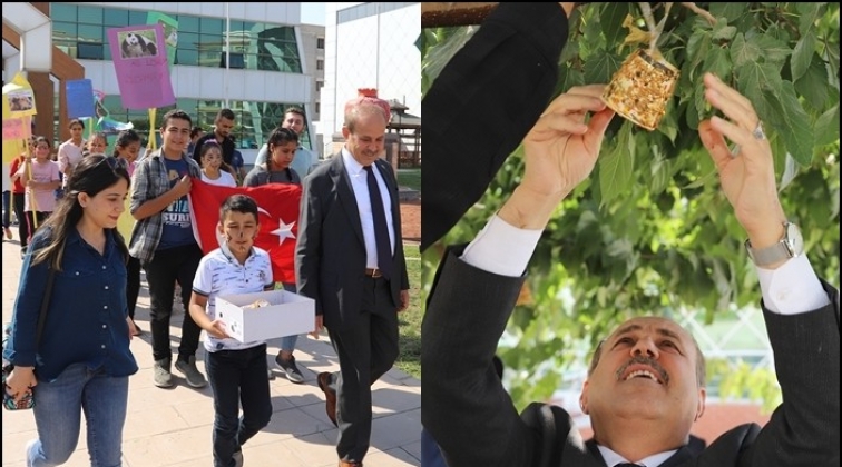 Ağa&ccedil;lara kuş yemi astılar