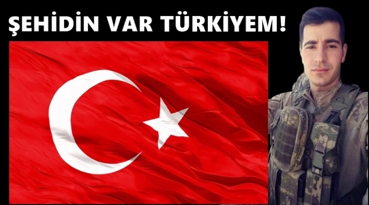 Ağrı'dan acı haber...