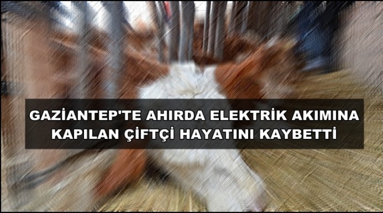 Ahırda elektrik akımına kapılarak &ouml;ld&uuml;!