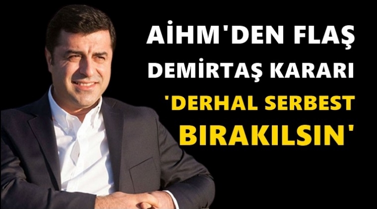 AİHM&rsquo;den flaş Selahattin Demirtaş kararı