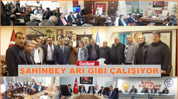 Ak Parti Şahinbey teşkilatı sahada