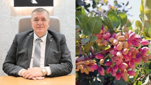 Akıncı: Antep fıstığı bu toprakların yeşil altınıdır