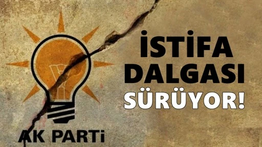 AKP'de iki günde 7 il başkanı istifa etti!