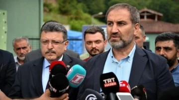 AKP Genel Başkan Yardımcısı hayvanseverleri hedef aldı!