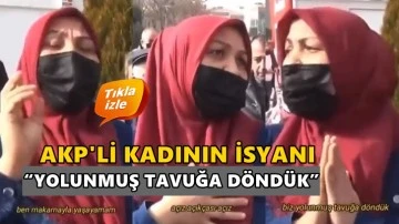 AKP’li kadın isyan etti: Yolunmuş tavuğa döndük!