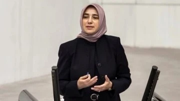 AKP’li Özlem Zengin: Artık hukuk da sizi korumuyor!