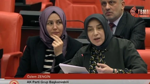 AKP'li &Ouml;zlem Zengin'den itiraf: Yeterli olmadığını hepimiz g&ouml;r&uuml;yoruz!