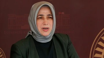 AKP'li Özlem Zengin'den seçim takvimi açıklaması