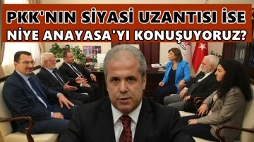 AKP'nin HDP ziyaretine bir tepki de Şamil Tayyar'dan...