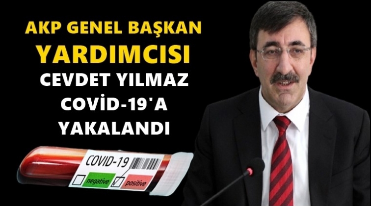 AKP'li Yılmaz&rsquo;ın testi pozitif &ccedil;ıktı