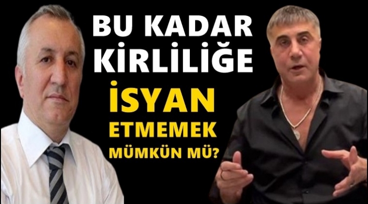 AKP'li eski vekilden Sedat Peker yazısı...