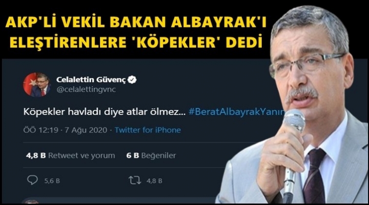AKP'li G&uuml;ven&ccedil; yurttaşlara "k&ouml;pekler" dedi