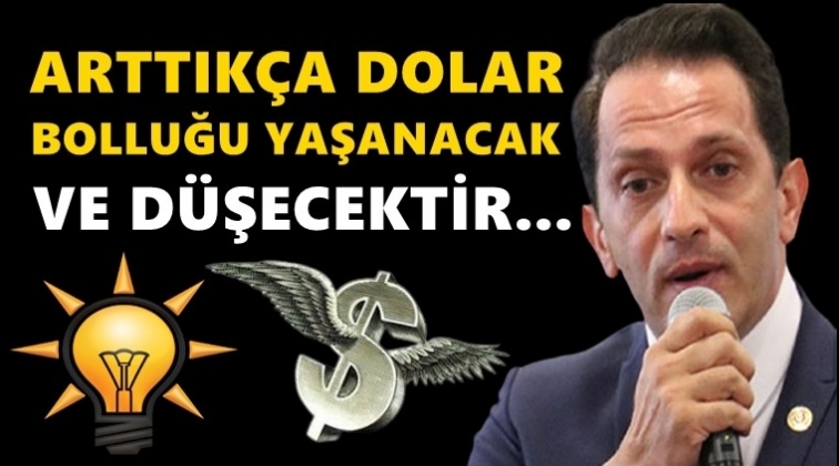 AKP'li isim, doların y&uuml;kselmesini b&ouml;yle savundu!