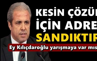 AKP'li Tayyar: Kesin &ccedil;&ouml;z&uuml;m i&ccedil;in adres, sandıktır!