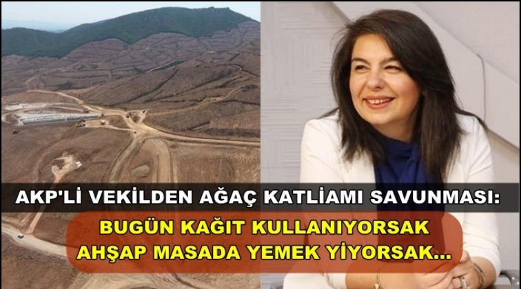 AKP’li vekil ağaç katliamını böyle savundu