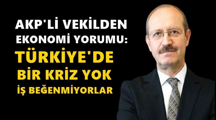 AKP'li vekil: Kriz yok, iş beğenmiyorlar!