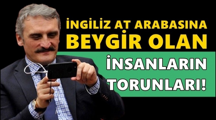 AKP'li 'Yeliz'den CHP’lilere skandal sözler…