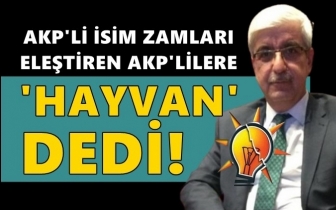 AKP'li yönetici, zamları eleştirene hayvan dedi!