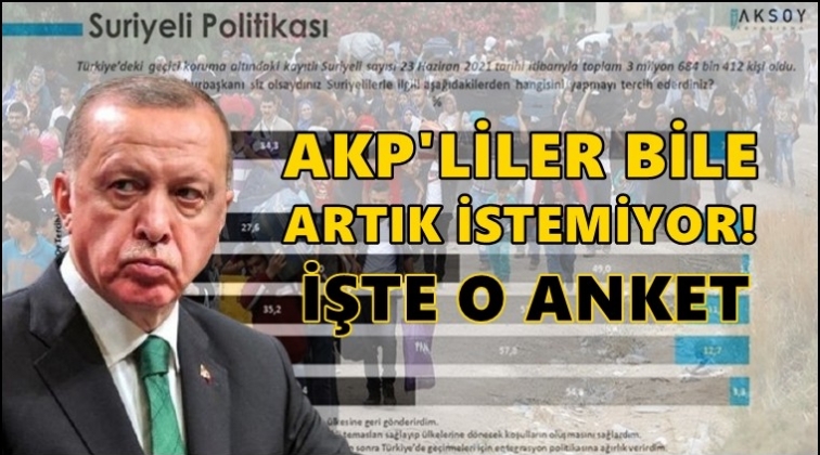 AKP'liler bile artık Suriyeli istemiyor!
