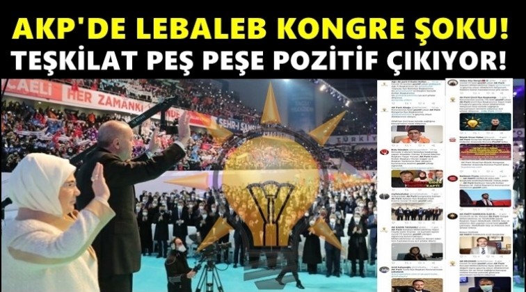 AKP'yi 'Lebaleb' vurdu: Teşkilat pozitif...