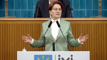 Akşener: BDDK kararı bir sermaye kontrol&uuml;d&uuml;r