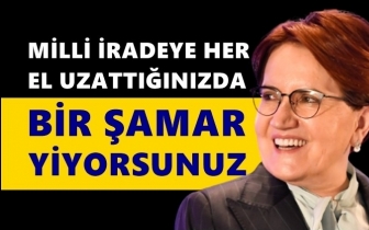 Akşener: Beyler aklınızı başınıza alın!