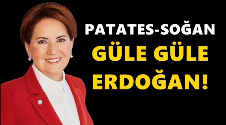 Akşener: Patates, soğan g&uuml;le g&uuml;le Erdoğan!