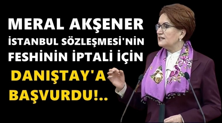 Akşener, Danıştay'a başvurdu...