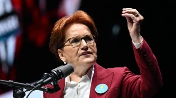 Akşener 'defolup gitsinler' demiş! 