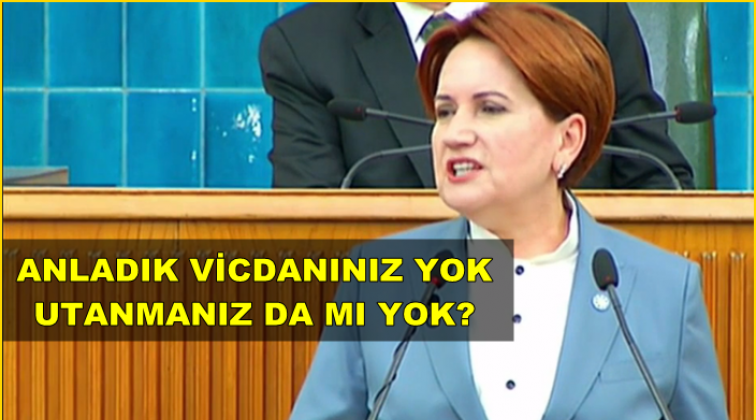 Akşener: Devlete daha fazla zarar vermeyin