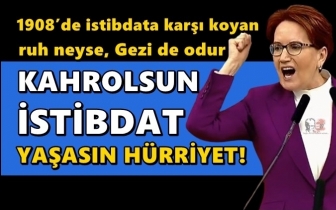 Akşener: Gezi milli şuurun ayağa kalkmasıdır
