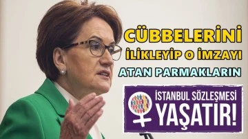 Akşener: İstanbul S&ouml;zleşmesi yeniden yaşatacak!