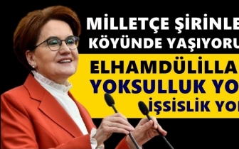 Akşener: Millet&ccedil;e şirinler k&ouml;y&uuml;nde yaşıyoruz!