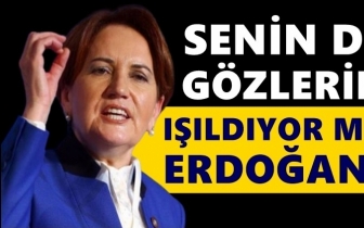 Akşener: Senin de g&ouml;zlerin ışıldıyor mu Erdoğan?