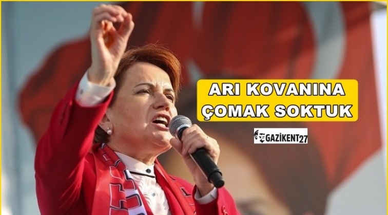 Akşener: Şerefsiz şerefsiz geziyorlar