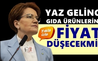 Akşener: Yaz gelince gıda fiyatı d&uuml;şecekmiş!