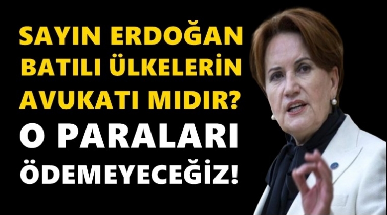 Akşener'den Erdoğan'a: Batılı &uuml;lkelerin avukatı mısın?