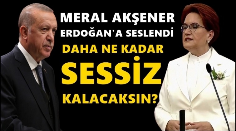 Akşener'den Erdoğan'a &ccedil;ağrı...