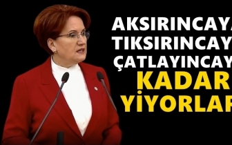 Akşener'den Erdoğan'a: 'Herşeyeloji profes&ouml;r&uuml;'