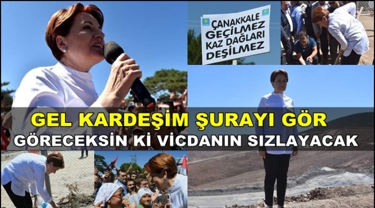 Akşener&rsquo;den Erdoğan&rsquo;a: Seni kandırıyorlar
