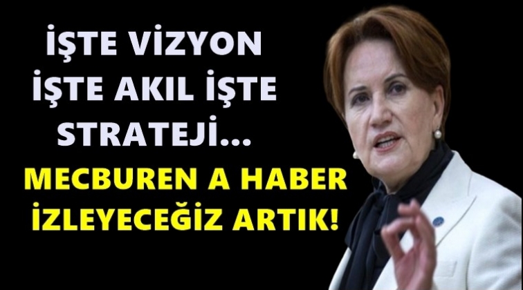 Akşener&rsquo;den Erdoğan&rsquo;a sosyal medya tepkisi