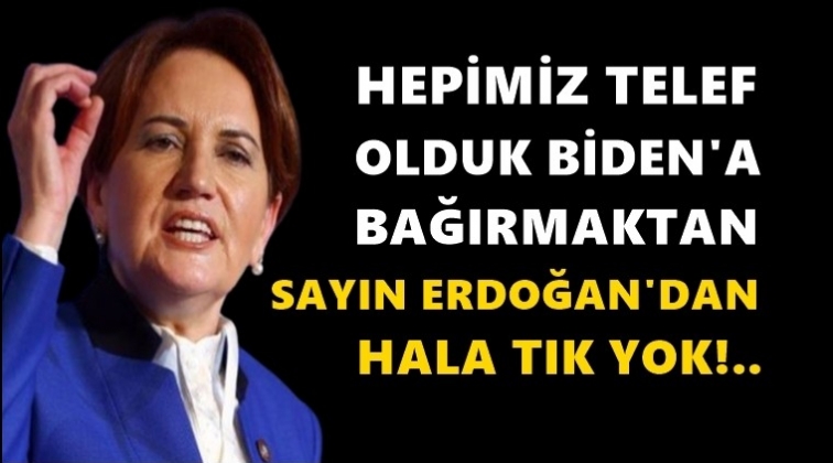 Akşener: Erdoğan'dan tık yok!