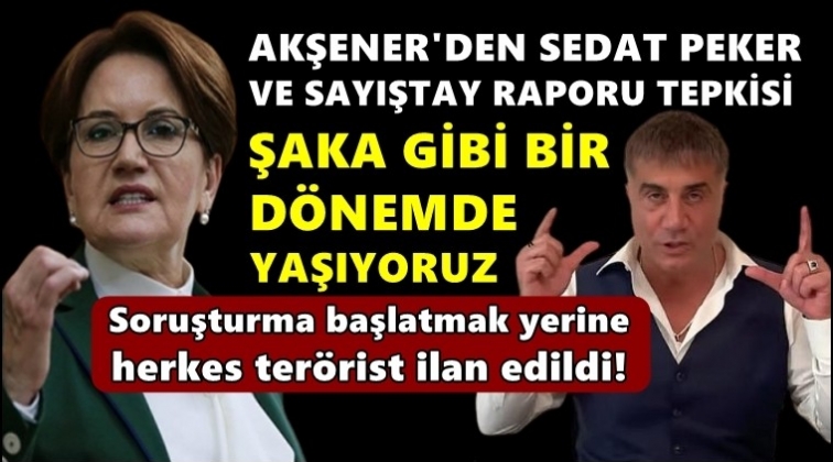 Akşener'den flaş Sedat Peker tepkisi...