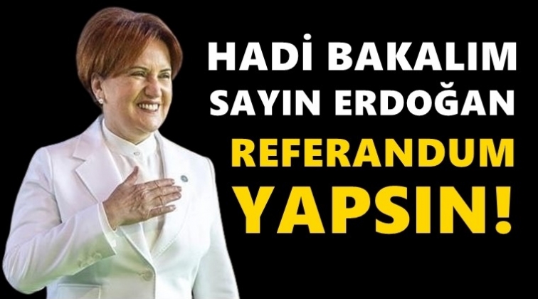 Akşener'den Kanal İstanbul i&ccedil;in referandum &ccedil;ağrısı...