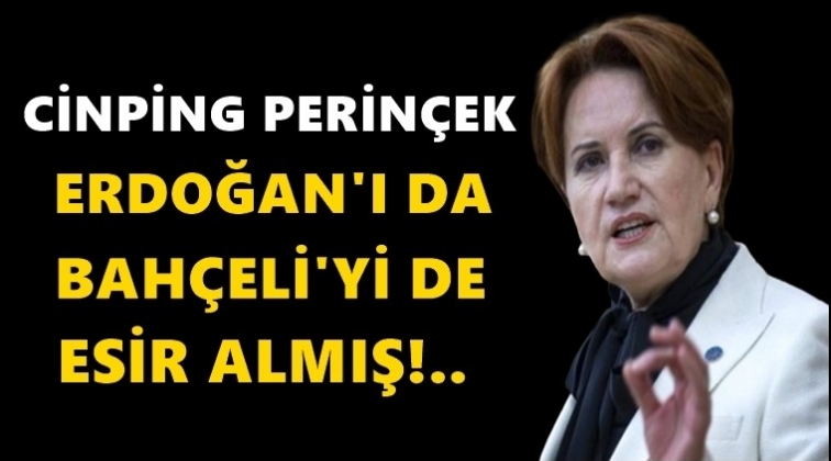Akşener&rsquo;den &lsquo;Perin&ccedil;ek&rsquo; g&ouml;ndermesi...